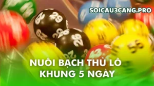 Hiểu đúng về bạch thủ lô khung 5 ngày