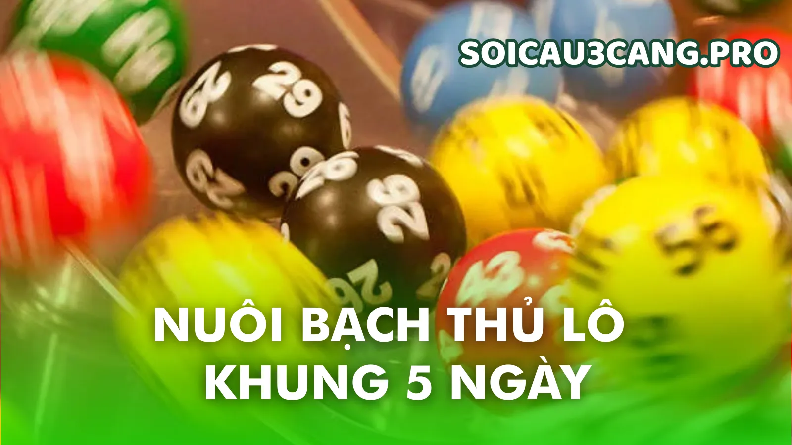 Hiểu đúng về bạch thủ lô khung 5 ngày